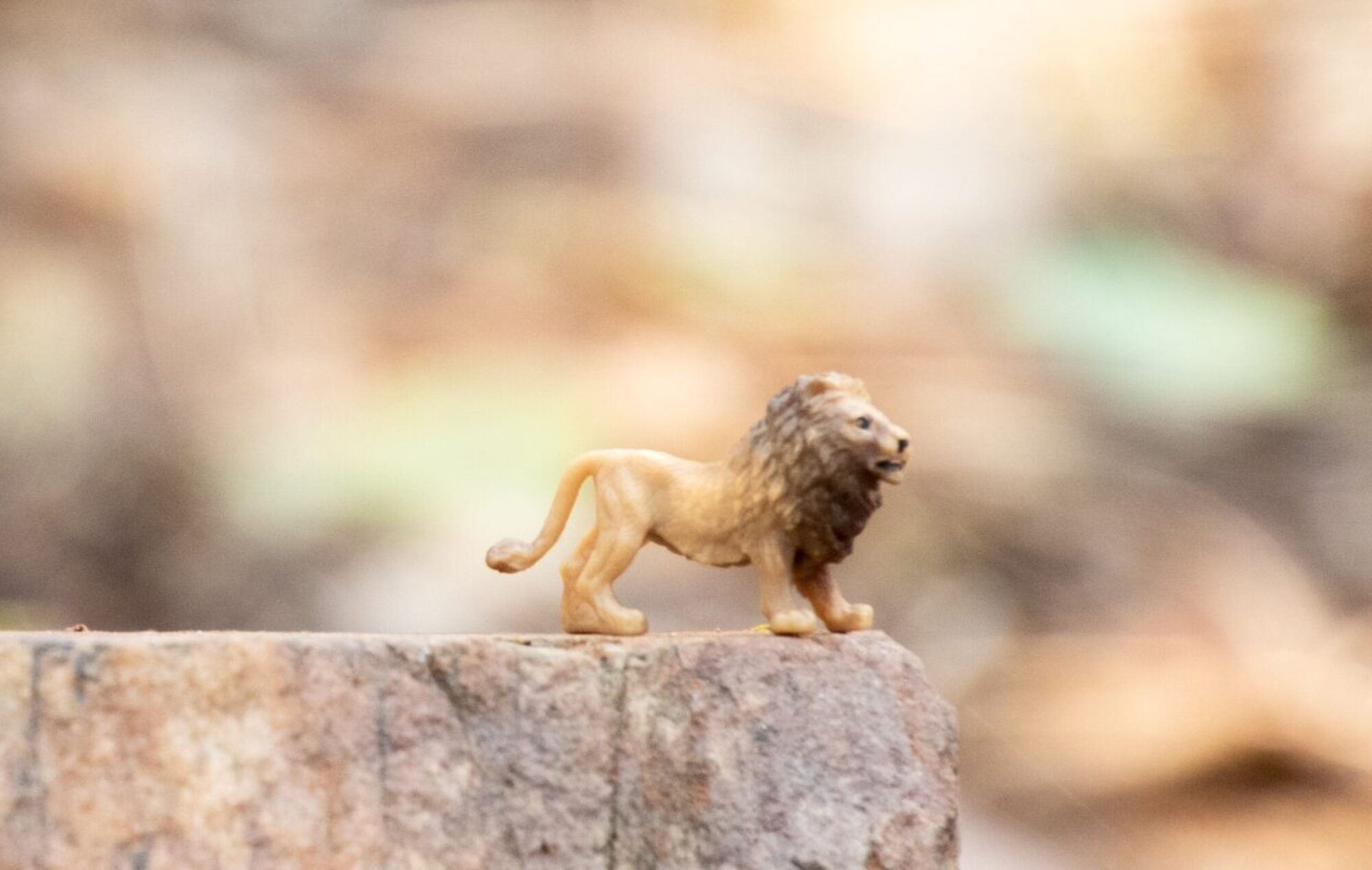 Life Enrichment Opportunities (LEO) LLC